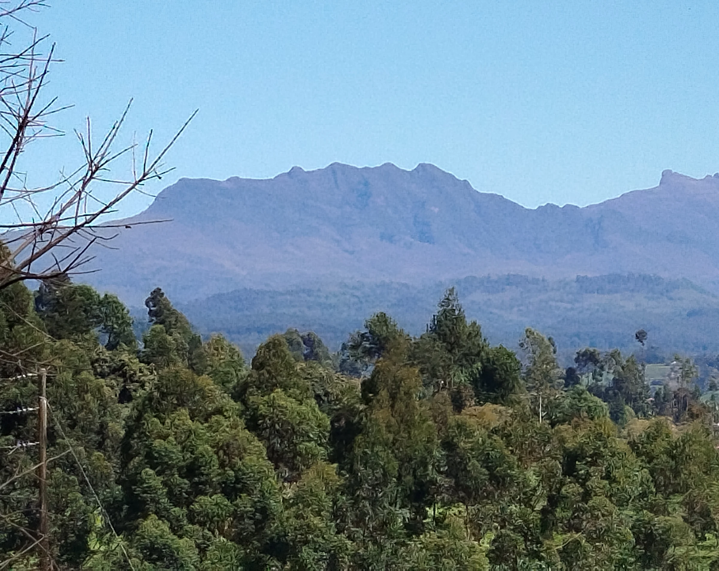 Aberdare mountain forest landscape
